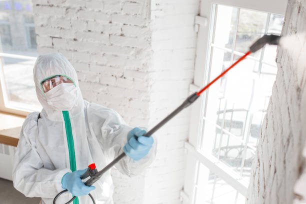 Best Forensic Mold Investigation  in Campbellsburg, KY