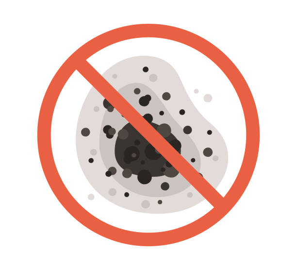Best Mold Removal for HVAC Installations  in Campbellsburg, KY