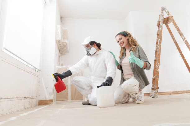 Best Industrial Mold Remediation  in Campbellsburg, KY